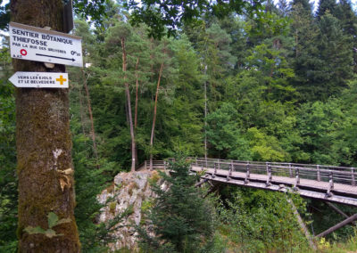 Sentier botanique Thiéfosse